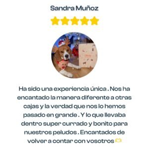 productos, accesorios, regalos para perros y amantes de los perros, oliviia