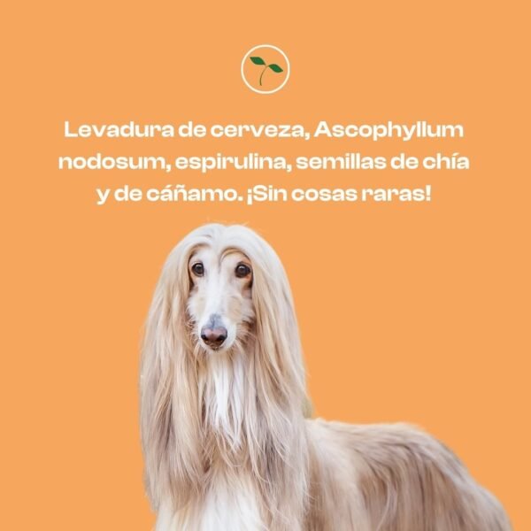 suplementos, nutricionales, naturales, perros, pelaje, brutal, oliviia