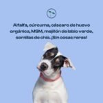 suplementos, nutricionales, naturales, perros, articulaciones, acero, oliviia