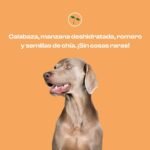 suplementos, nutricionales, naturales, perros, digestiones, firmes, oliviia