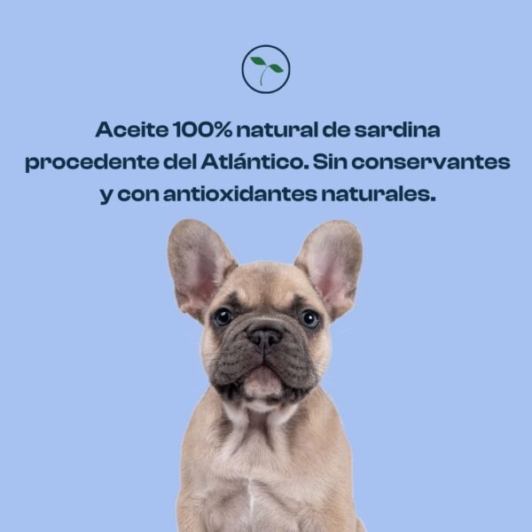 suplementos, nutricionales, naturales, perros, aceite, sardina, oliviia