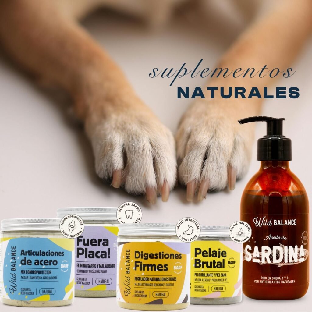 juegos, juguetes, diversion, perros, packs, tematicos, oliviia