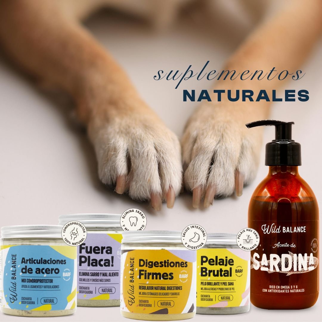 juegos, juguetes, diversion, perros, packs, tematicos, oliviia