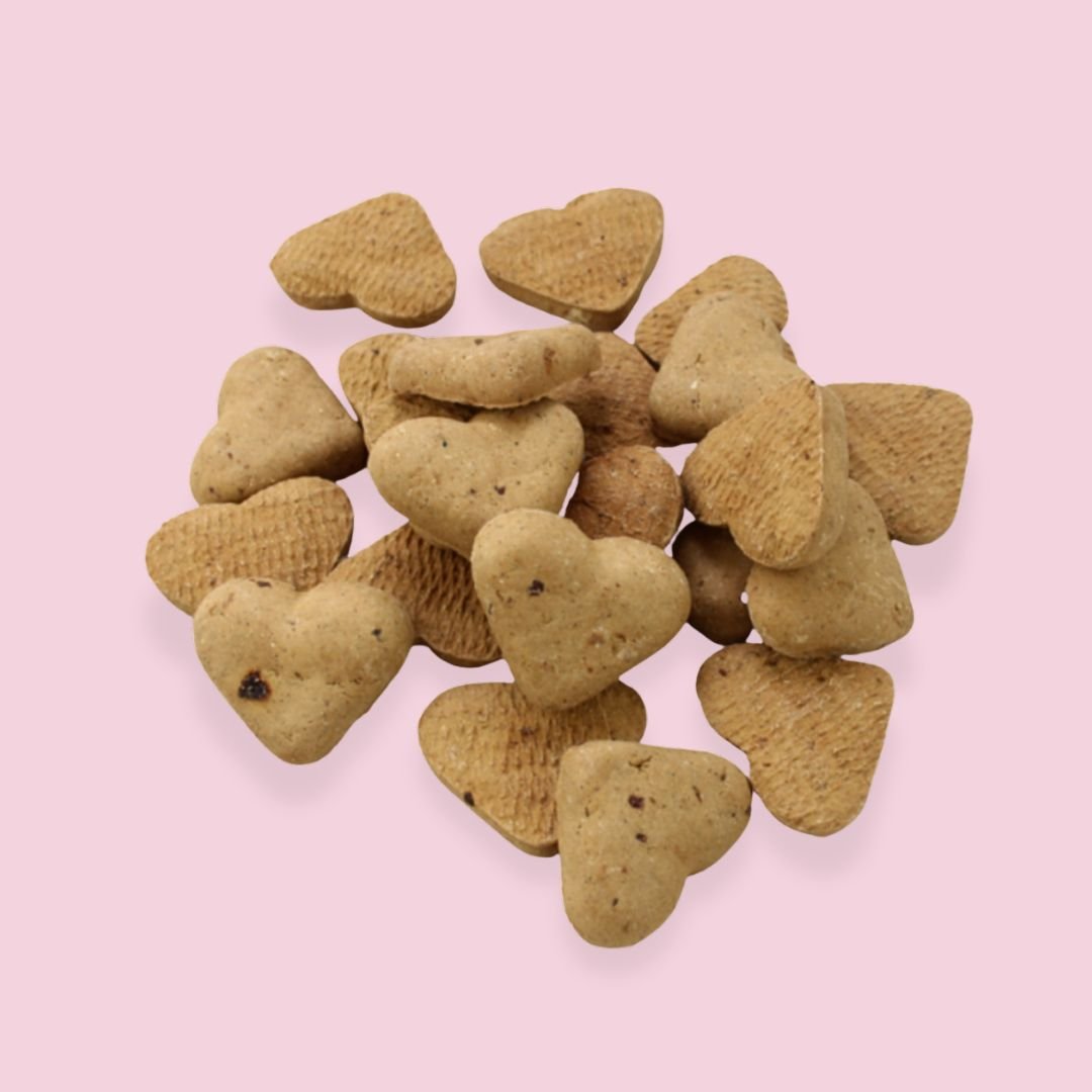 packs, tematicos, perros, juguetes, perro, oliviia