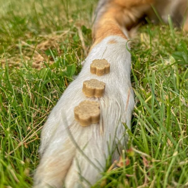 chuches, snacks, perro, naturales, perros, oliviia