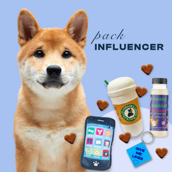 Pack Temático para tu Perro - Influencer