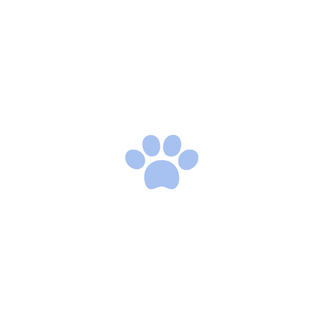 productos, accesorios, regalos para perros y amantes de los perros