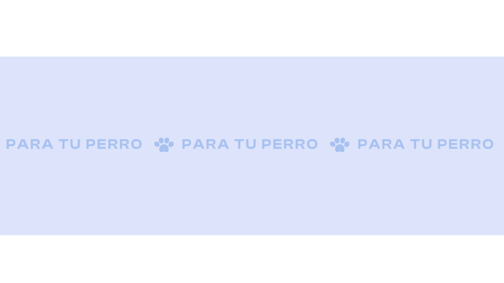 productos, para perros, para tu perro, accesorios para amantes de los perros, oliviia, version movil