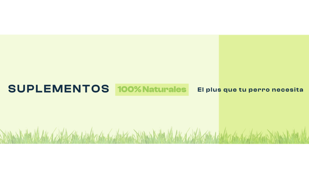 suplementos, nutricionales, naturales, para, perros, salud, oliviia