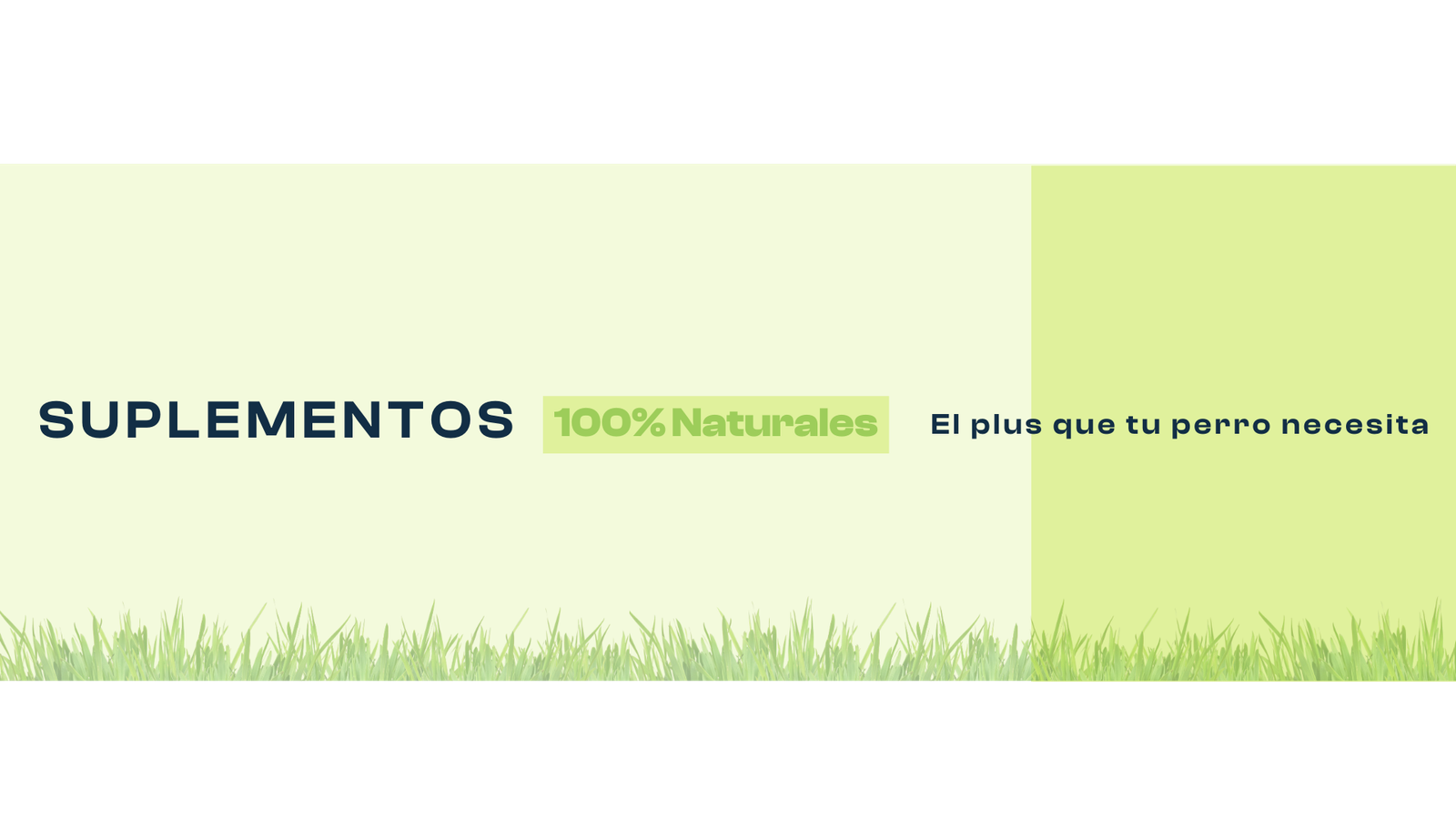 suplementos, nutricionales, naturales, para, perros, salud, oliviia