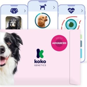 test, adn, genetico, perro, advance, regalos, perros, oliviia
