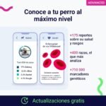 test, adn, genetico, perro, advance, regalos, perros, oliviia