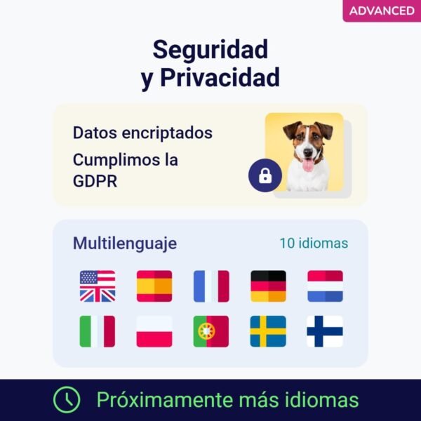test, adn, genetico, perro, advance, regalos, perros, oliviia