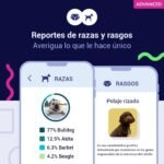 test, adn, genetico, perro, advance, regalos, perros, oliviia