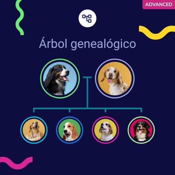 test, adn, genetico, perro, advance, regalos, perros, oliviia