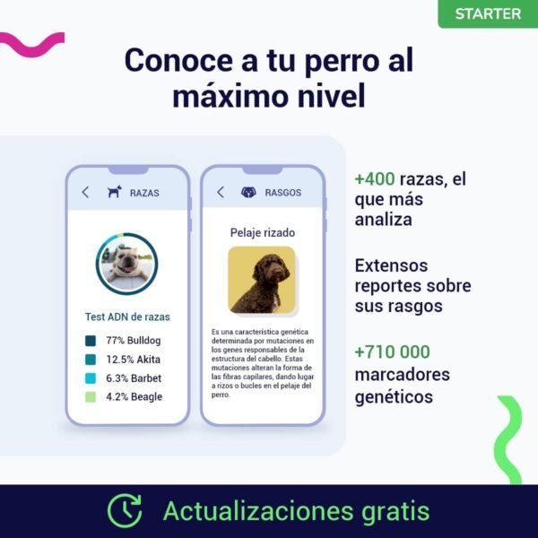 test, adn, genetico, perro, starter, regalos, perros, oliviia