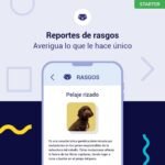 test, adn, genetico, perro, starter, regalos, perros, oliviia