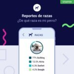 test, adn, genetico, perro, starter, regalos, perros, oliviia
