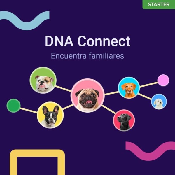 test, adn, genetico, perro, starter, regalos, perros, oliviia