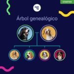 test, adn, genetico, perro, starter, regalos, perros, oliviia