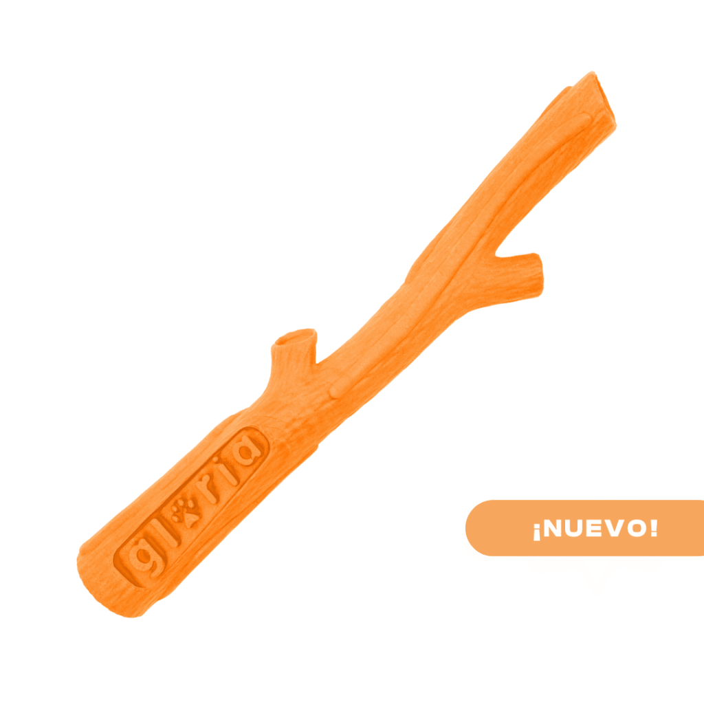 juguetes, perros, palo, juguete, stick, super, naranja, oliviia