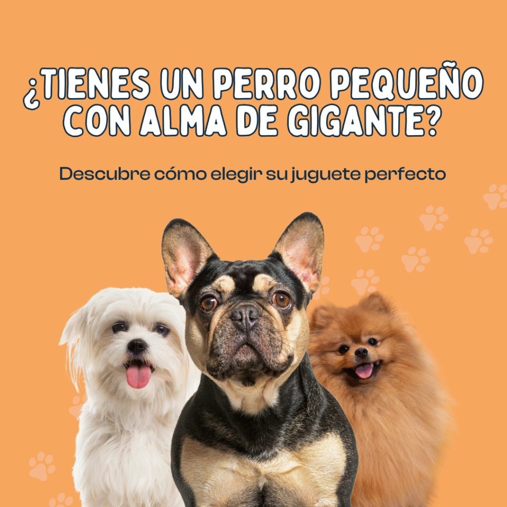 Juguetes para perros, perros pequeños, accesorios, regalos, perros, dog, lovers, Oliviia