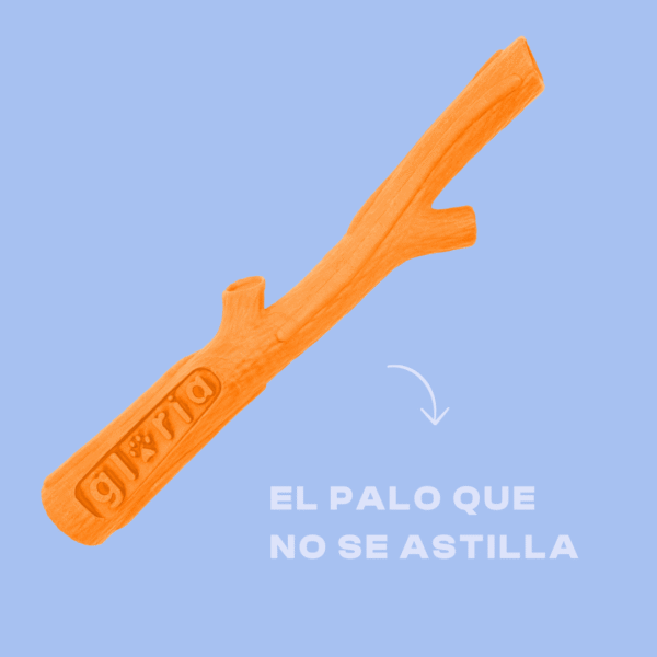 Pack Temático para tu Perro - Verano: diversión y frescor para tu perro - Imagen 3