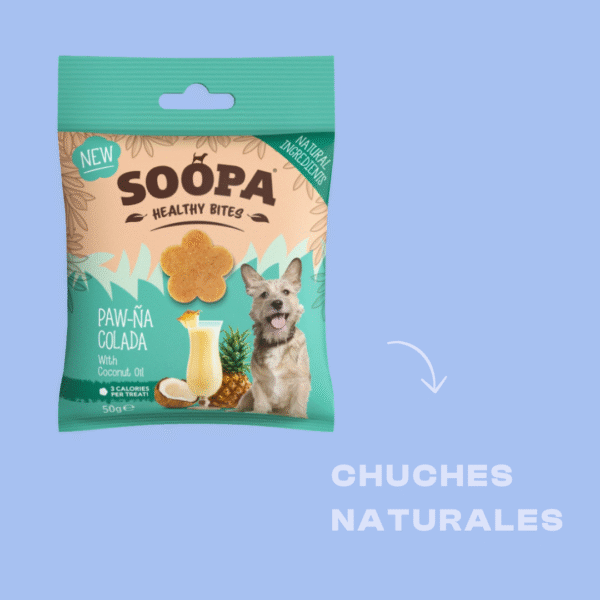 Pack Temático para tu Perro - Verano: diversión y frescor para tu perro - Imagen 4