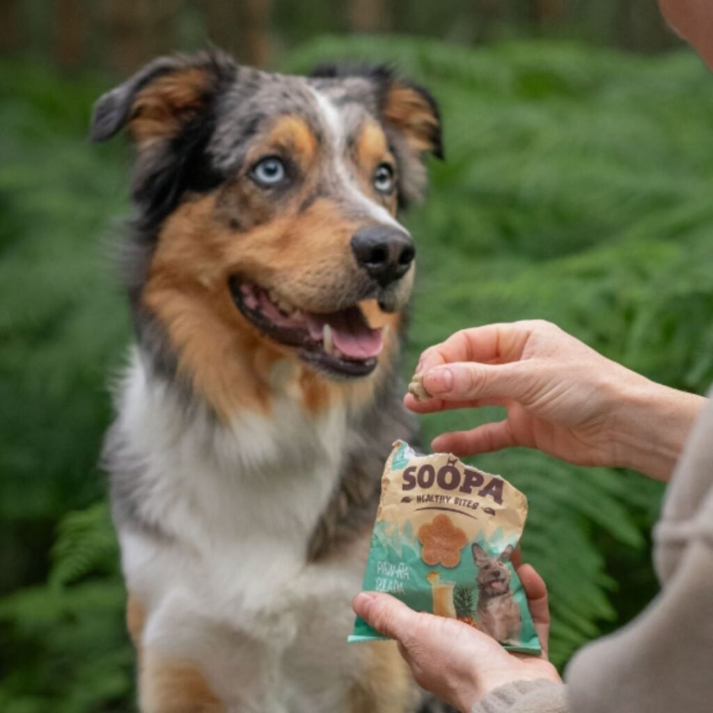 Snacks naturales y saludables para perros en España