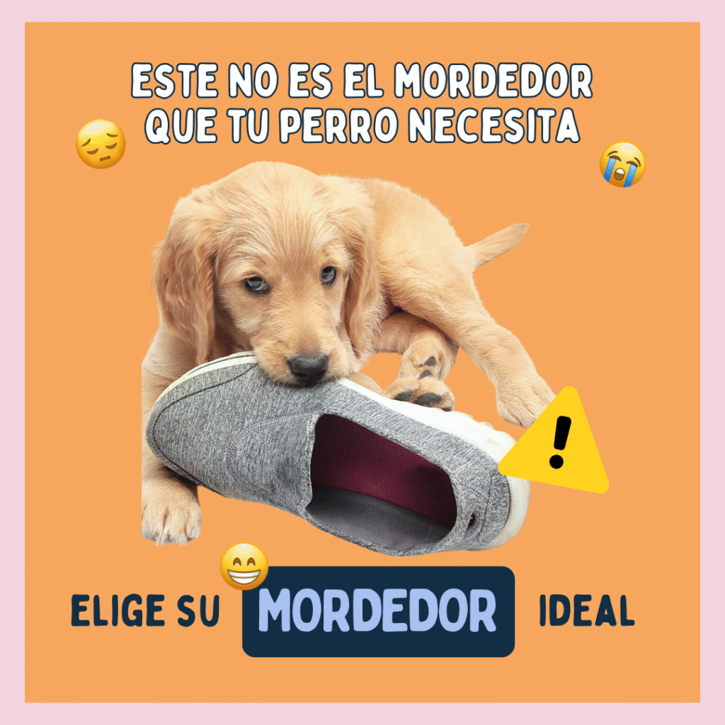 El mordedor que tu perro necesita
