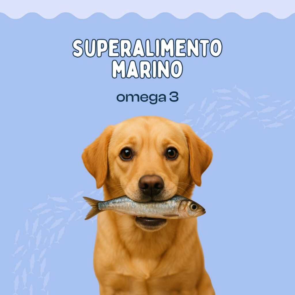 Aceite de pescado para perros, omega 3, juguetes, accesorios, regalos, perros, dog, lovers, Oliviia