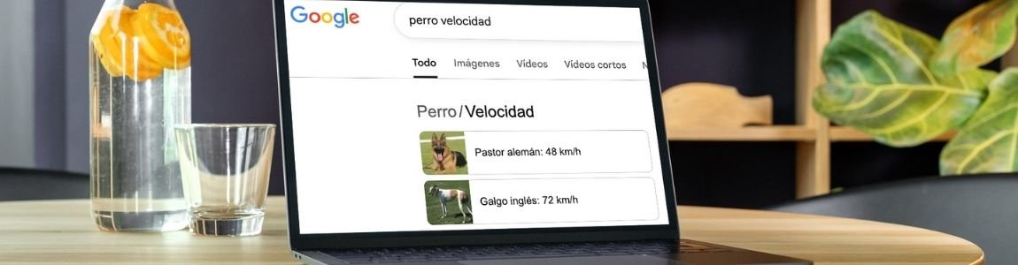 A qué velocidad corren los perros