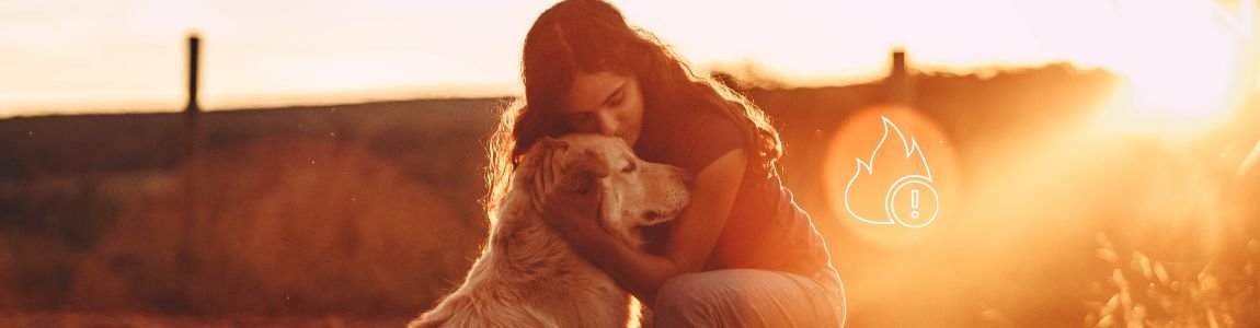 Protege a tu perro del humo