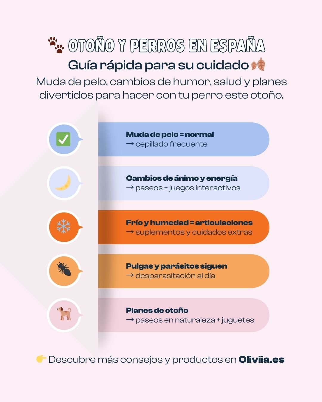 Infografía sobre otoño y perros: muda de pelo, cuidados, salud y planes divertidos en España con Oliviia.es
