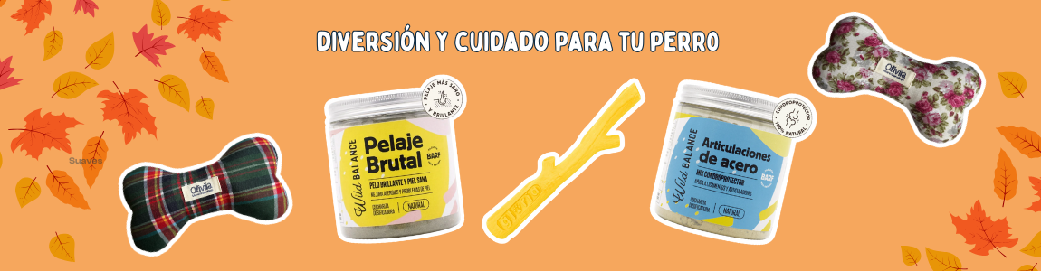 juguetes y suplementos de otoño para perros de Oliviia.es sobre fondo otoñal