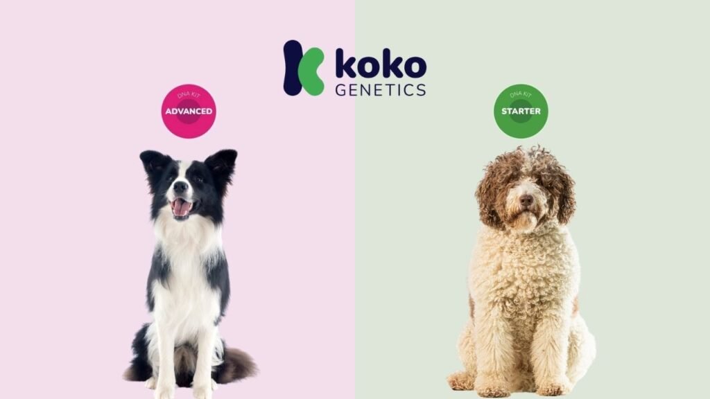Comparativa Starter vs Advanced test ADN canino