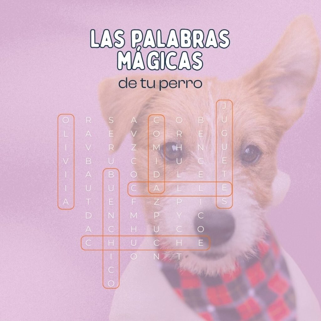 palabras favoritas de los perros