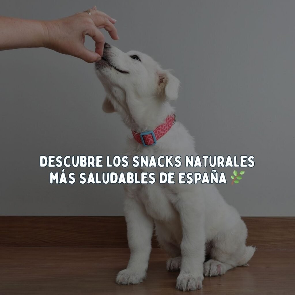 Perro feliz mordiendo snack natural Oliviia