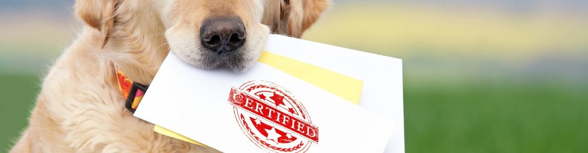 Certificado de curso obligatorio para tenencia de perros