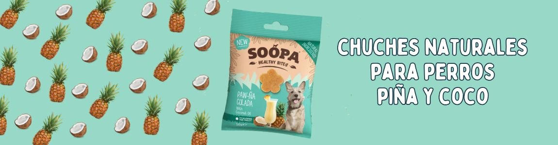 Selección de snacks naturales para perros en España