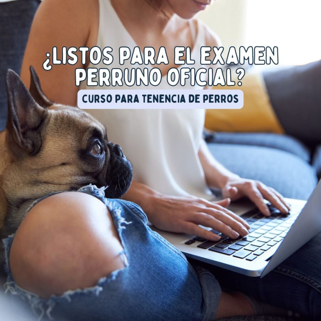 A prepararnos para el examen perruno oficial
