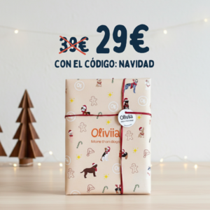 regalos para perros, caja de navidad perro