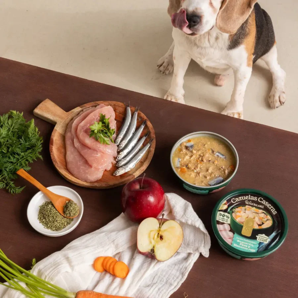Cazuela casera de Boquerón, Pavo y Manzana para perros 280g - Imagen 5