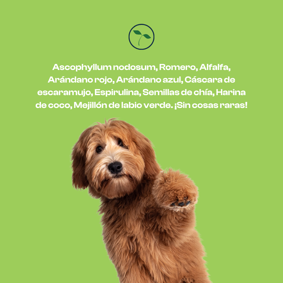 Suplemento para Perro - BARF en uno - Imagen 3