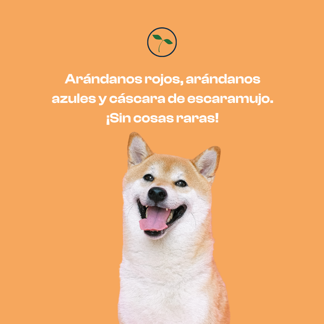 Suplemento para Perro - Bienestar urinario - Imagen 3