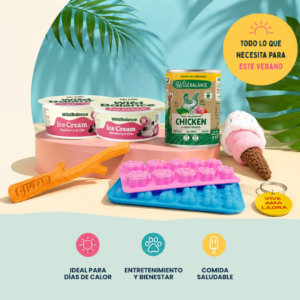 Pack verano para perros, juguetes, comida natural, accesorios, helados