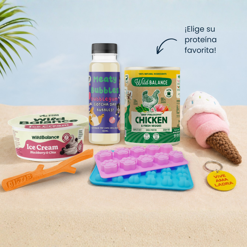 Pack Verano para perritos de vacaciones