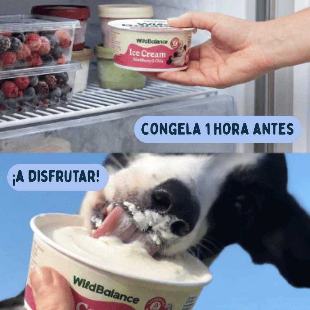 Yogur helado con prebióticos naturales - Imagen 5
