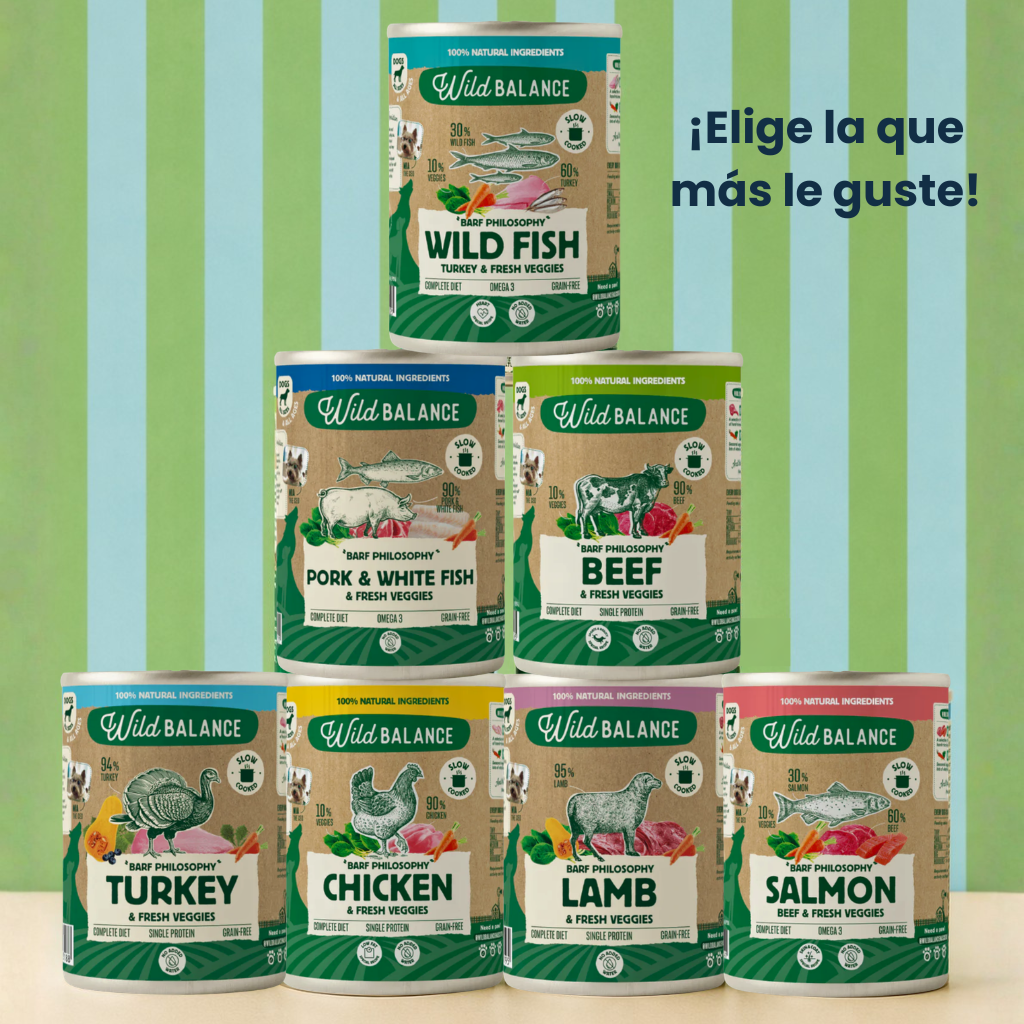 Pack Verano para perritos de vacaciones - Imagen 6